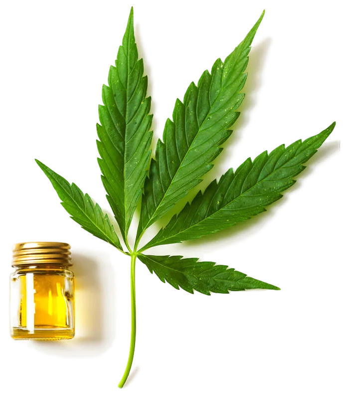 CBD oil with menthol